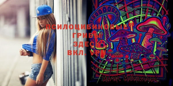 крисы Покров