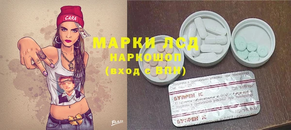 ПСИЛОЦИБИНОВЫЕ ГРИБЫ Верхнеуральск