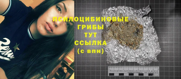 таблы Верхний Тагил