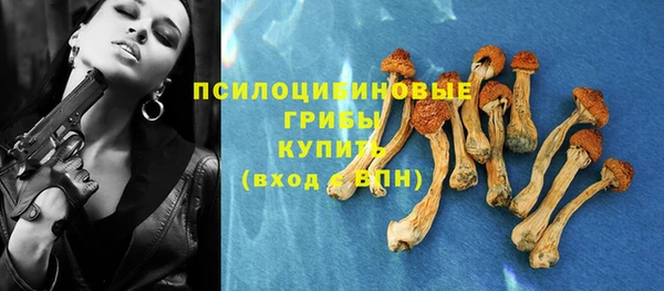 ПСИЛОЦИБИНОВЫЕ ГРИБЫ Верхнеуральск