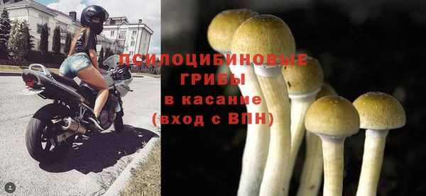 ПСИЛОЦИБИНОВЫЕ ГРИБЫ Верхнеуральск