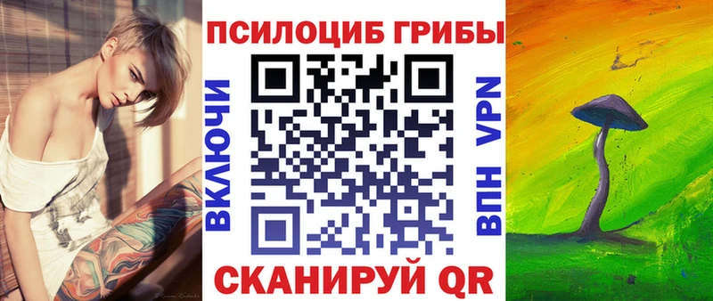 Галлюциногенные грибы Psilocybe Ипатово